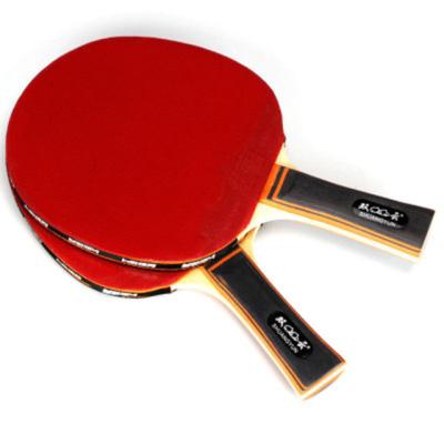 China Professional Table Tennis Sports Fans Table Tennis Tables Best Table Tennis Racket for sale