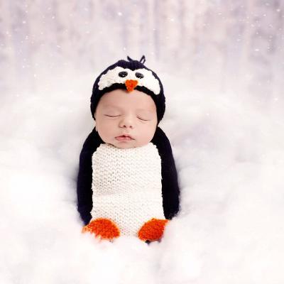 China Fashion Newborn Baby Photo Props Penguin Hood Hat Sleeping Bag Outfits Knitted Photography Shoot Crochet Costume for sale