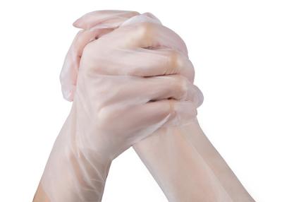 China Powder Free Disposable Hand Gloves / Disposable Safety Gloves PE / TPE Material for sale