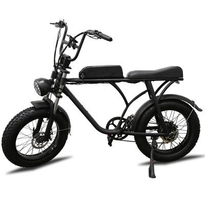 China Best Electric Bike 750watt Electric Bike Fat Tire High Quality Electric Bike Mauntain Mountain Electric Bicycle for sale