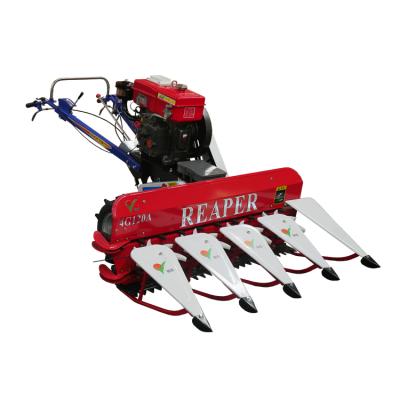 China Mini Rice Harvester Self Propelled Harvester For Harvesting Quinoa Oat Barley Frame Over 4G120A for sale