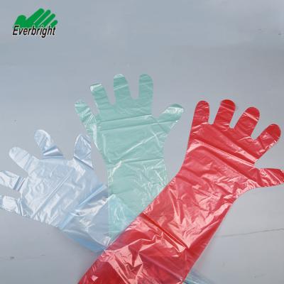 China Disposable LDPE EVA Veterinary Gloves Long Sleeve With Box for sale