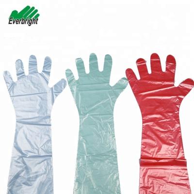 China Animal Use Disposable Veterinary Gloves PE Plastic Gloves For Animals OEM ODM Acceptable for sale