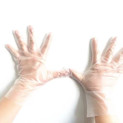 China Food Service Disposable Plastic Strip Gloves Safety Food Grade Gloves Household Cleaning Products for sale