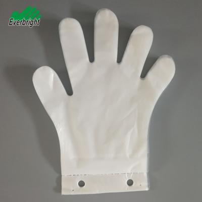 China Hot Selling Disposable Household Cleaning Glove Pe Housework Cleaner Poly Gloves for sale