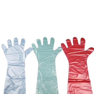 China Safety Customized Size Long Arm Plastic PE Glove Pet Grooming Disposable Veterinary Gloves for sale