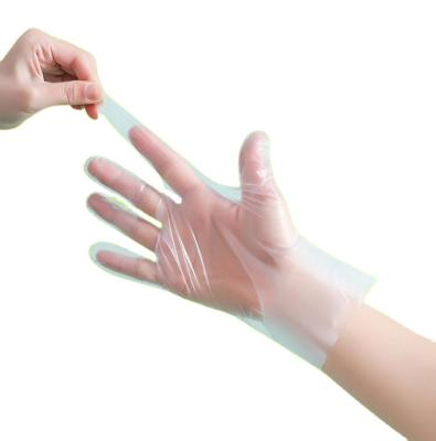 China Disposable plastic food contact grade strip gloves for food service housekeeping product and disposable touchtnuff gloves for sale