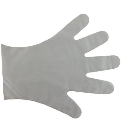 China Food grade biodegradable service pe/cpe glove transparent disposable cpe gloves for sale