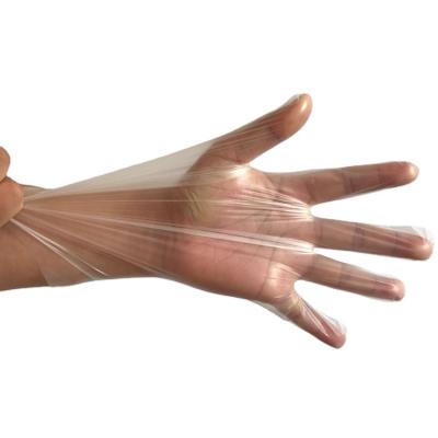 China Food grade biodegradable service pe/cpe glove transparent disposable cpe gloves for sale