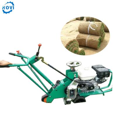 China Lawn Mower Lawn Engine Grass Turf Cutter Machine for sale