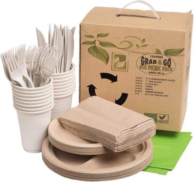 China Biodegradable Eco Friendly Dinnerware Sets Novelty Design Style for Party Picnic Meeting for sale