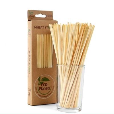 China Say Goodbye to Plastic Straws and Hello to Wheat Drinking Straws Eco Friendly Option for sale