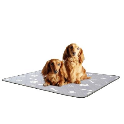 China Small Animals Amazon Dog Basics and Puppy Pads, PEE Pads with Quick Dry Surface for Potty Training for sale