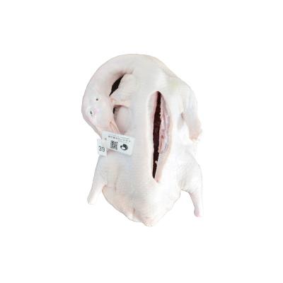 China Frozen China Wholesale High Quality Frozen Duck for Best Price for sale