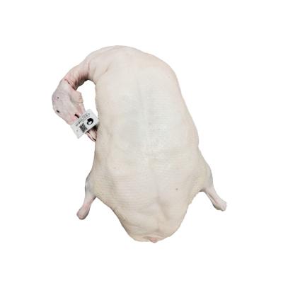 China Frozen High Quality Frozen Duck Whole Duck Meat White Frozen Duck for wholesale for sale