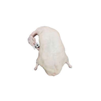 China Frozen Wholesale Good Price 100% Natural Fresh Duck Meat White Frozen Duck for Delicious for sale