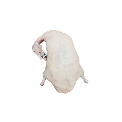 China Frozen Excellent Quality Low Price Health Fresh Duck Meat White Frozen Duck for sale