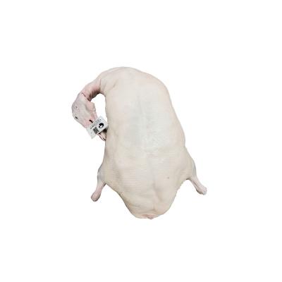 China Frozen Factory Wholesale Fresh Whole Duck Fresh Duck Meat White Frozen Duck for sale