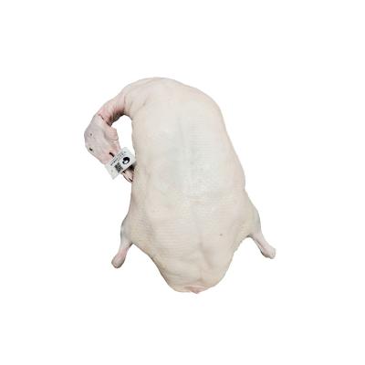 China Frozen Wholesale Best Selling Quality Delicious Whole White Frozen Duck for sale