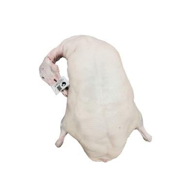 China Frozen Factory Safety health and hygiene duck meat White Frozen Duck for sale