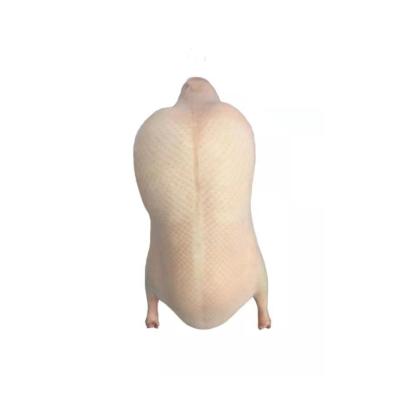 China Frozen Factory wholesale high quality Color Frozen Duck for Made in China for sale