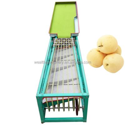 China Hotels Fruit Avocado Dates Blueberry Sorter Potato Tomato Grading Machine for sale