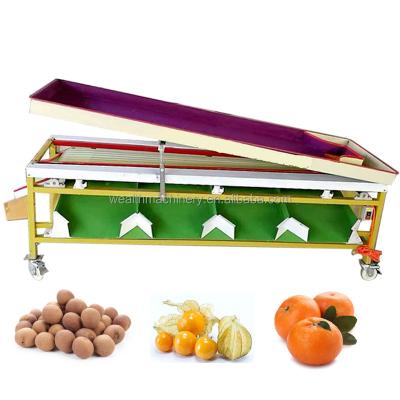 China Professional Hotels Fruit Citrus Sorter Lemon Grading Machine for sale