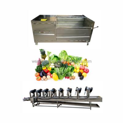 China Hotels vegetable polishing machine, potato washing machine carrot brush washing machine for sale