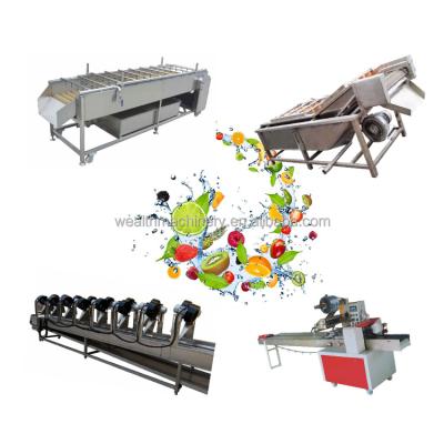 China Commercial Fruit and Vegetable Seal Snacks Factory Ozone Bubble Carrot Cassava Apple Washing Machine for sale