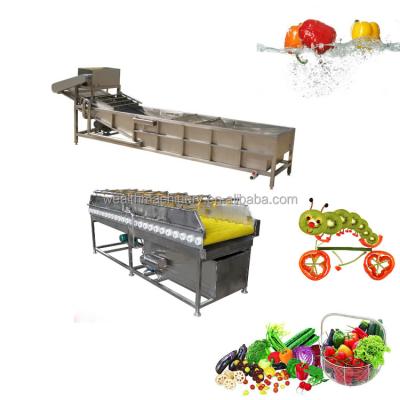 China Japan date commercial wash lettuce bubble air power snack food processing machine for sale