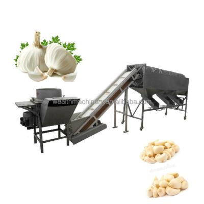 China food & Beverage Factory Garlic Peeling Machine | Garlic Powder Equipment Ginger Garlic Paste Making Machine for sale