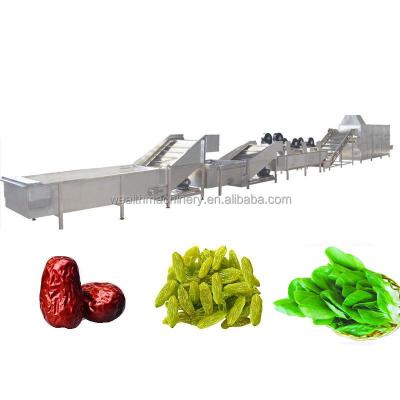 China Hotels Fruit Dog Food Cat Food Mesh Belt Drying Machine Fruits and Vegetables Overturning Dryer for sale