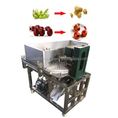 China Hotels Dried Dates Pitting Fruit Kernel Removing Machine Jujube Seed Remove Machine for sale