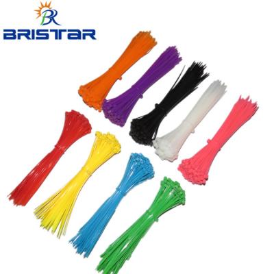 China Nylon plastic BRISTAR china plastic zip ties suppliers heavy duty reusable tamper evident seal nylon plastic cable tie for sale