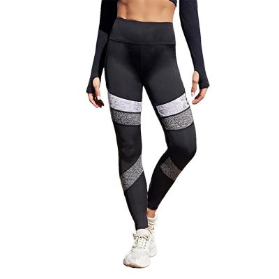 China 2021 NEW Border Hot Sale Breathable High Waist Leggings Yoga Pants Gym Leggings Butt Lift Leggings Yoga Pants Sexy Girls In Yoga for sale