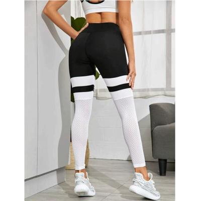 China Breathable Solid Gaiters High Waist Gaiters Sport New Gaiters Sports Pants Mesh Sweatpants White for sale