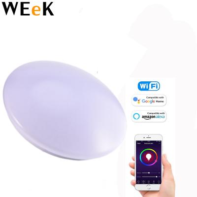 China Timer Setting 32cm Smart WIFI LED Ceiling Light For Bedroom Living Room Work With Amazon Alexa Google Home 32*32*10cm 48W for sale