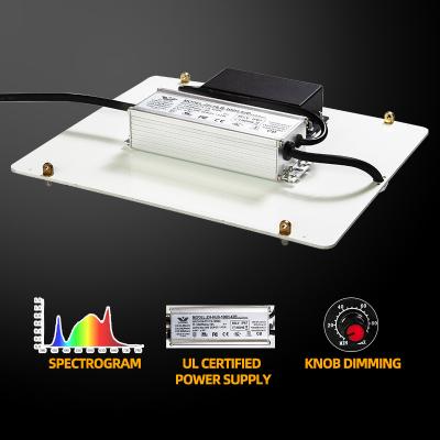 China Seed Starting Quantum Plate 100W 200W LED Full Spectrum To Grow Light Has Superior Heat Dissipation for sale