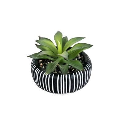 China Durable Custom Round Small Flower Pot Creative zebra-stripe Design Korean Planter Succulent Ceramic Garden Pot Plant Containers for sale