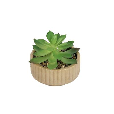 China Durable 2023new khaki Mini Ceramic Flower Pots Desktop Decor Succulent Pot Hotel living room furnishings Cactus Pots for sale