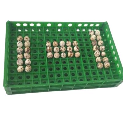 China Farms Green Poultry Equipments Plastic Pigeon Birds Quail Egg Tray For Transport Using for sale