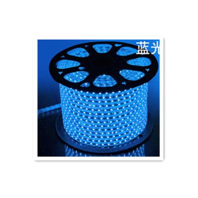 China Decoration hot sales waterproof more stable chip 72leds/meter smd3014 led strip light 220v for sale