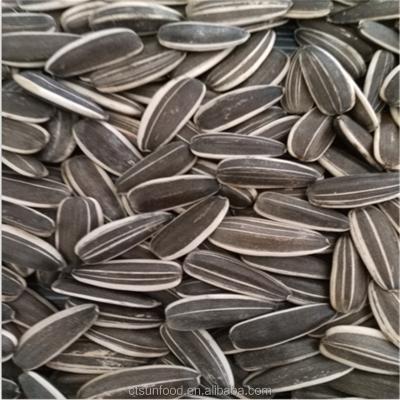 China 2021 New Common Cultivation Sunflower Seeds Chinese Inner Mongolia Factory for sale