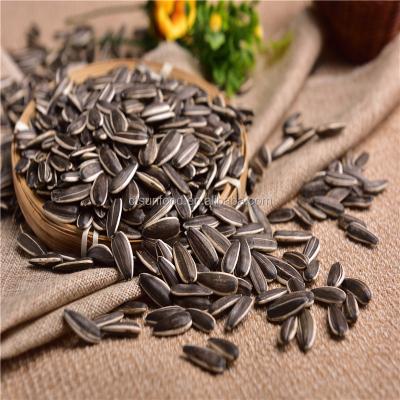 China 2021 New Cultivation Inner Mongolia Confectionery Common Sunflower Seeds 5009 for sale