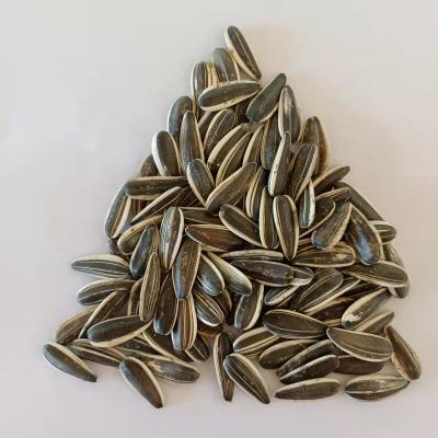 China Inner Mongolia China Dry Natural Cheap White Striped Black Sunflower Seeds 601 for sale