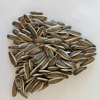 China 2021 New 363 Cultivation Dry Chinese Sunflower Seeds On Sale for sale