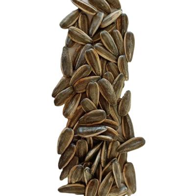 China 2021 Crop 361 Dry Wholesale Sunflower Seeds With Shell Inner Mongolia Factory Chinese for sale