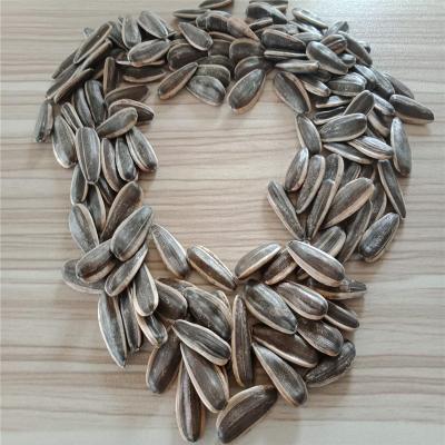 China Wholesale Dry Organic Sunflower Seeds Of The Biggest Size Grade A Raw Quality Best Prices From Ukraine for sale