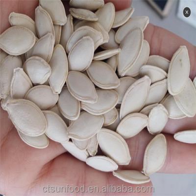 China Inner Mongolia Dried Chinese 2021 New Cultivation Good Quality Cheap Price Pumpkin Seeds for sale