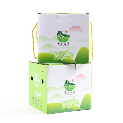 China Eco - Friendly And Recyclable Printed Vegetable Cardboard Corrugated Packaging Apple Fruit Storage Cardboard And Paper Box for sale